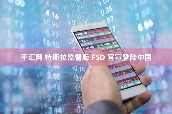 千汇网 特斯拉监督版 FSD 官宣登陆中国