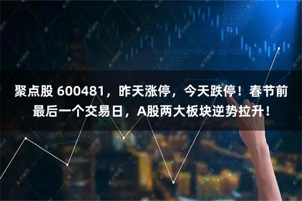 聚点股 600481，昨天涨停，今天跌停！春节前最后一个交易日，A股两大板块逆势拉升！