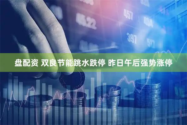 盘配资 双良节能跳水跌停 昨日午后强势涨停