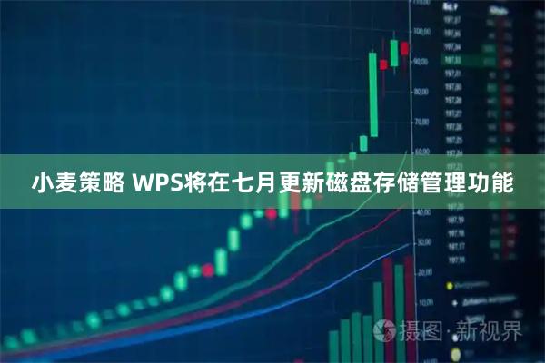 小麦策略 WPS将在七月更新磁盘存储管理功能